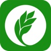 黑龙江农业（Agriculture）