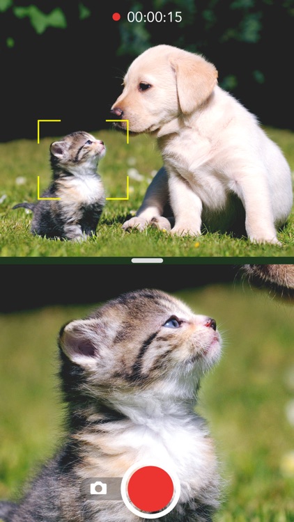 Camera7 - Dual camera with digital zoom for iPhone