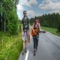 Exhaustive information hitchhiking and other cheap forms of transportation, in North America