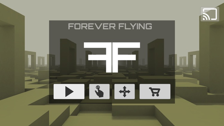 Forever Flying