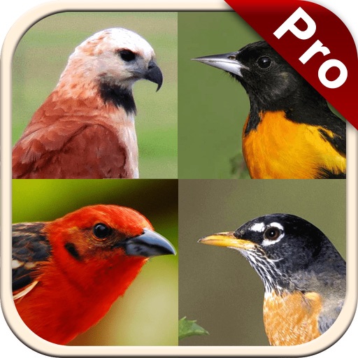 Non Perching Birds PRO: SMART guide to Non Passerines with Games and Puzzles icon