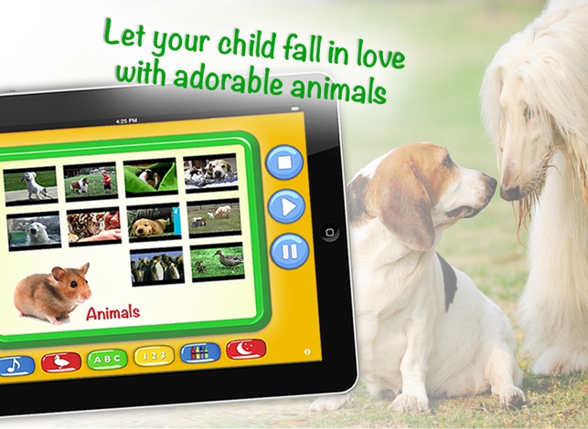 ZOOLA Kids Videos HD - Educational Videos for kids(圖3)-速報App