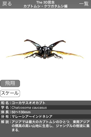 The 3D Insects I screenshot 3