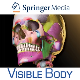 Skeleton Premium for Springer (Skelet Premie voor Springer)