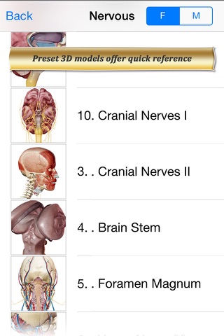 Brain and Nervous Anatomy Atlas: Essential Reference for Students and Healthcare Professionals screenshot 2