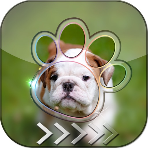 BlurLock - Cute Puppy : Blur Lock Screen Photo Maker Wallpapers Pro