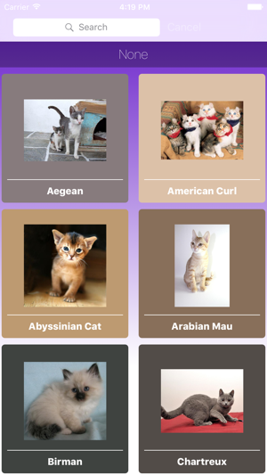 Encyclopaedia of Kittens by Breed - with