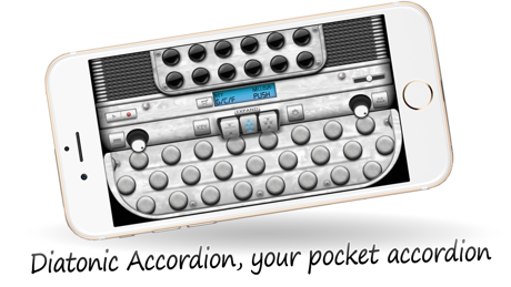 Tips and Tricks for Diatonic Button Accordion Free