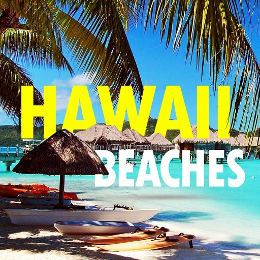 Beaches of Hawaii icon