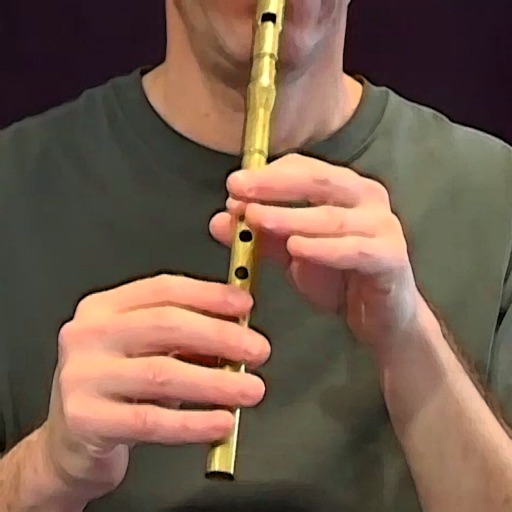 Tin Whistle - Traditional Irish Whistle - Key of D