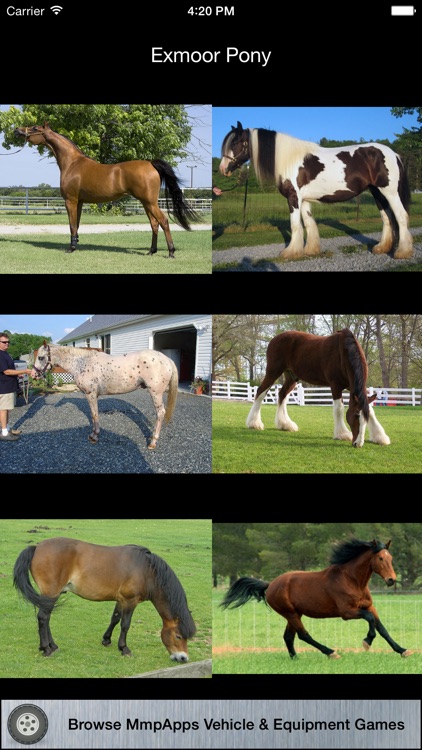 3Strike Horses