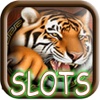 A Monter Buster: Casino Slots Free Game HD