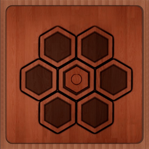 Hexagon Puzzle - Resolve The Hardest Problem iOS App