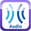 Learning Ally Audio