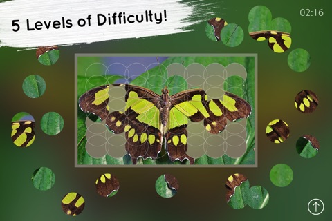 Venn Butterflies: Overlapping Jigsaw Puzzles screenshot 2