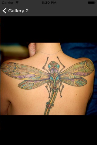 Best Dragonfly Tattoo Designs screenshot 3