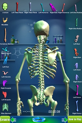 GM4L Skeleton Bone Game screenshot 3