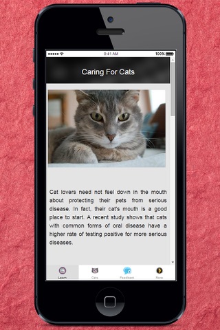 Caring For Cats - Tips on Caring for a Pregnant Cat screenshot 2
