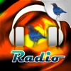 SL Radio