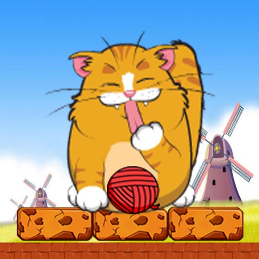 Playful Kitty Cute On The Roof iOS App