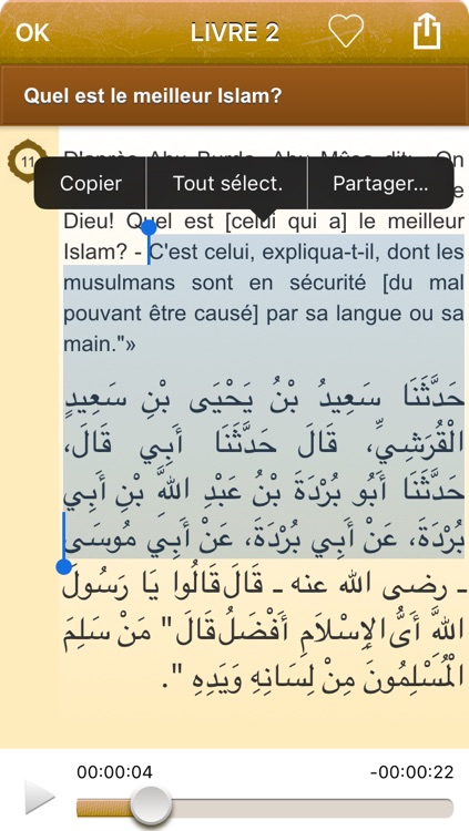 Sahih Al-Bukhari Audio mp3 en Français et en Arabe, +7500 Hadiths et Citations du Coran (Lite) - صحيح البخاري