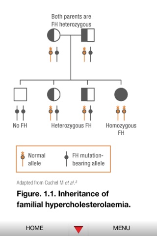 Targeting Familial Hypercholesterolaemia screenshot 4