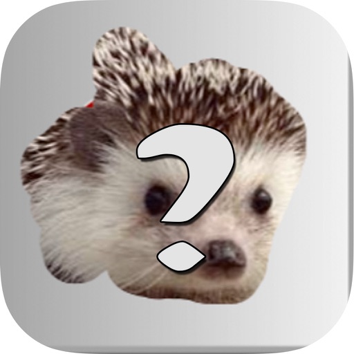 Scratch Animal Puzzle iOS App