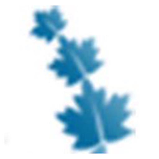 BlueFerns Admin Icon