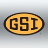 GSI APAC GSI APAC