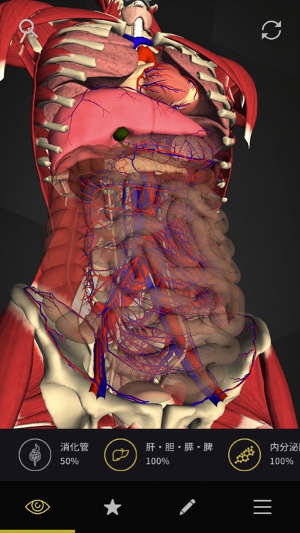 teamLabBody-Internal Organs-