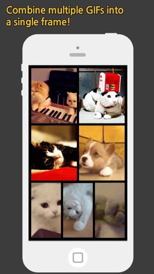 GIF Grid Pro - Combine multiple GIFs into frames(圖1)-速報App