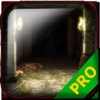 PRO - Darkest Dungeon Game Version Guide