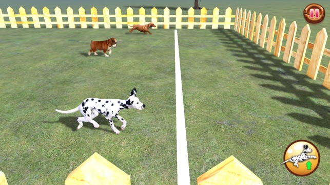 Play with your Dog: Dalmatian(圖2)-速報App