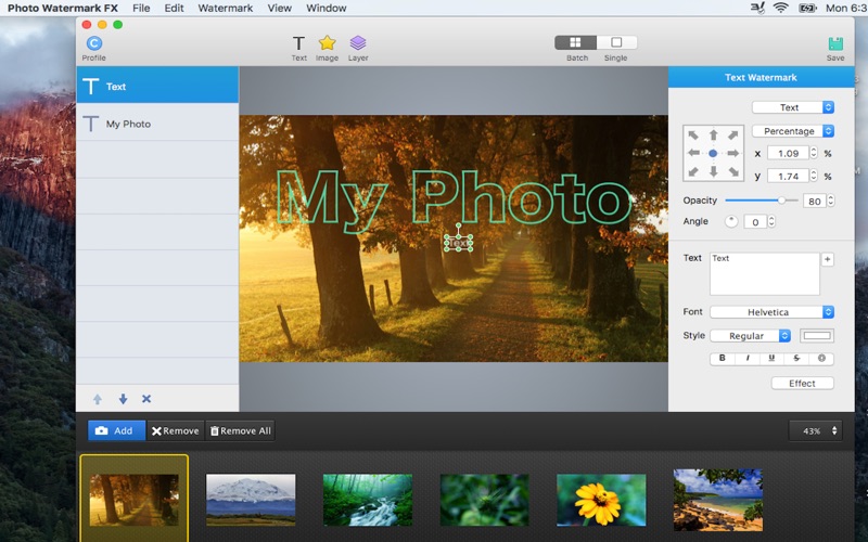 Photo Watermark FX - batch image editor thumbnail 2