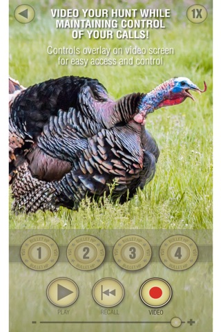 Wild Turkey Pro screenshot 4