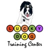 Lucky Dog Training Center