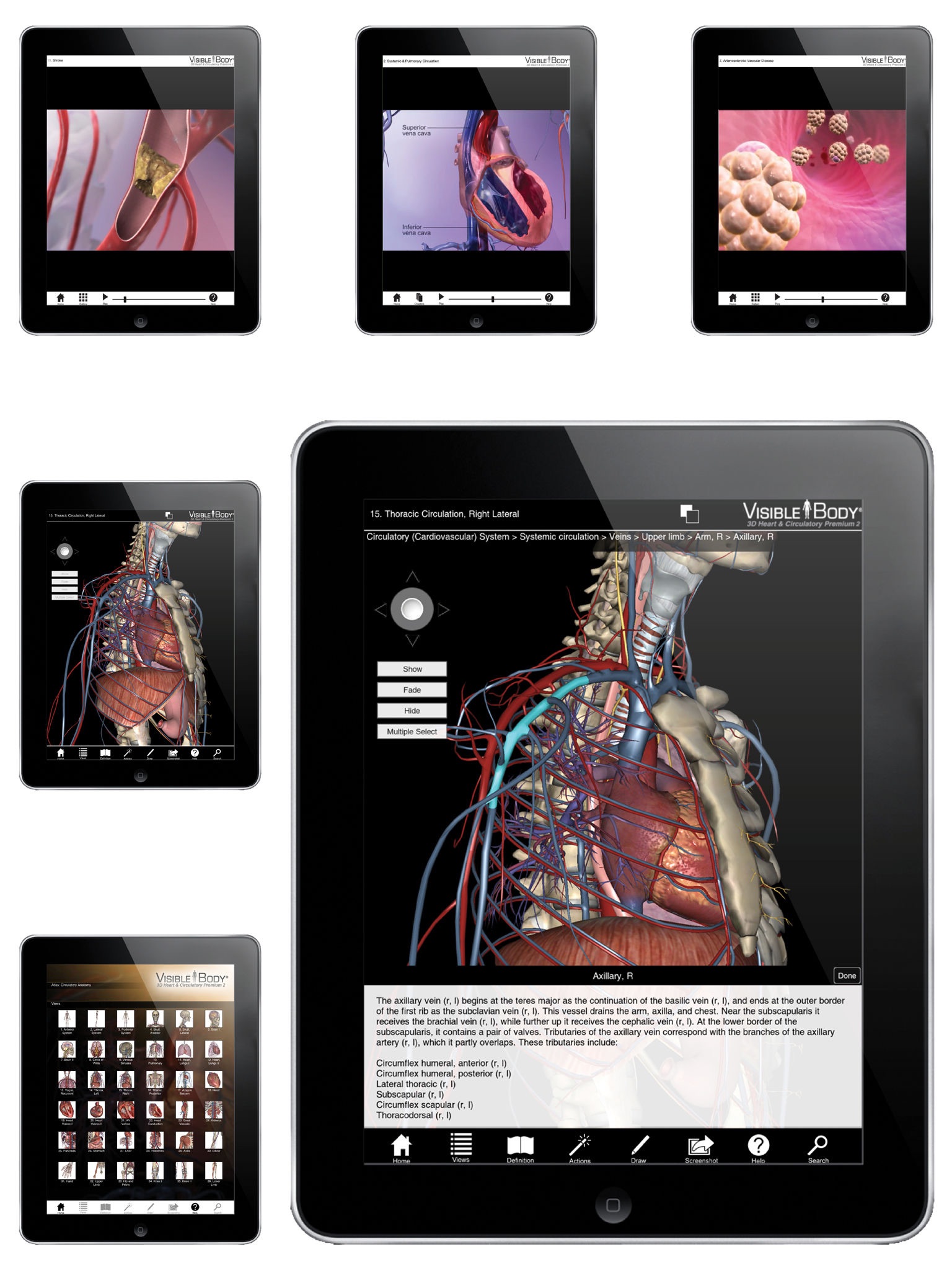 For Organizations - 3D Heart & Circulatory Premium 2 screenshot 2