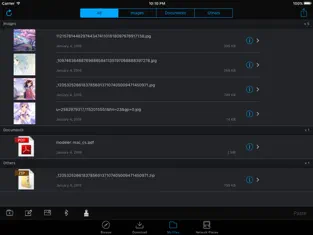 Captura 4 i.Files - File Manager & Offline Browser iphone