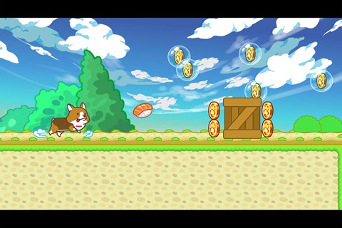 Corgi Run screenshot 2