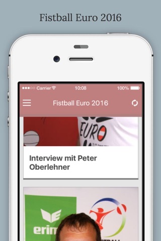 Fistball Euro 2016 screenshot 2