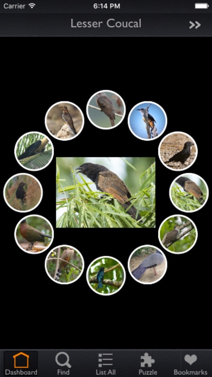 Cuckoos Info Kit screenshot-3