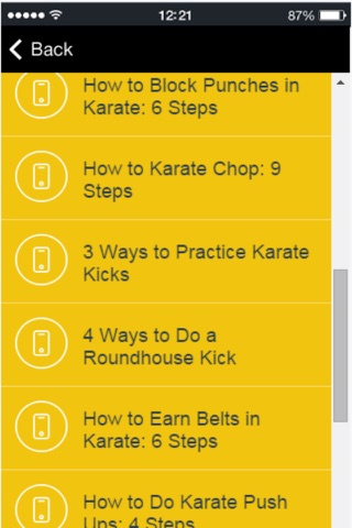 Karate Techniques - Learn Basic Karate Moves Easily screenshot 3