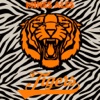 BDS Tigers