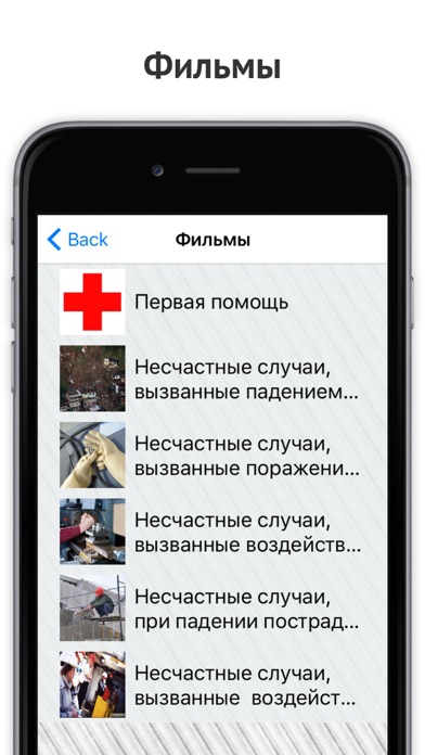How to cancel & delete SIP Инженеру Охраны труда from iphone & ipad 3