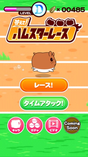 Let's Answer! Hamster Race