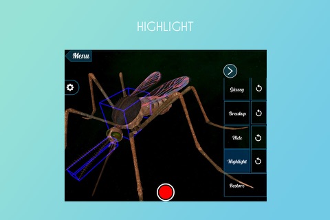 Mosquito 3D screenshot 3