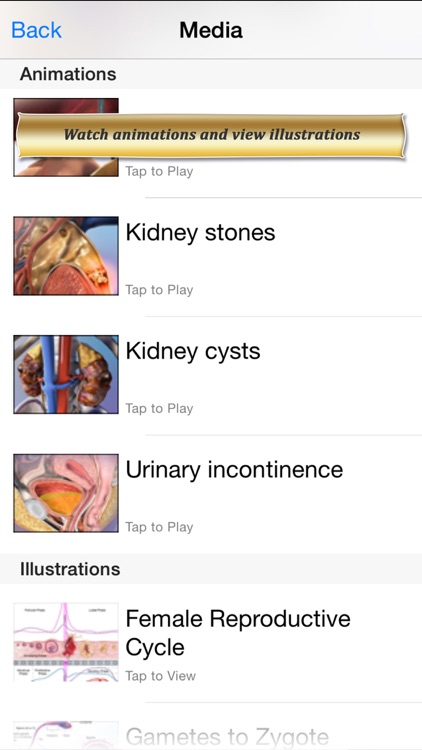 Reproductive and Urinary Anatomy Atlas: Essential Reference for Students and Healthcare Professionals screenshot-3