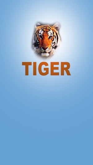 TIGER CCTV(圖4)-速報App