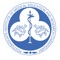 The field of medicine revolves around putting existing knowledge into action in the best interest of the patient