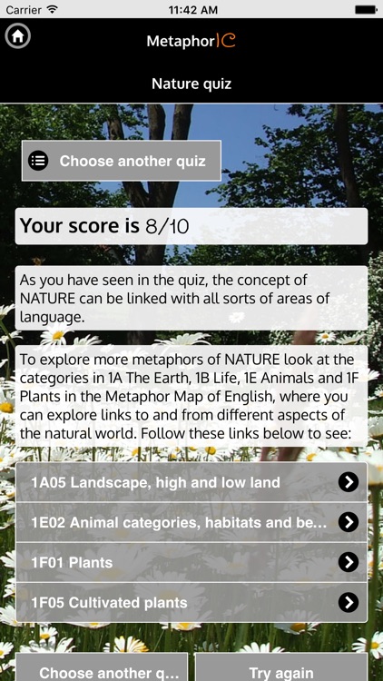 MetaphorIC screenshot-3